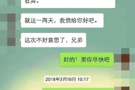 新龙如何避免债务纠纷？专业追讨公司教您应对之策